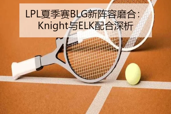 LPL夏季赛BLG新阵容磨合：Knight与ELK配合深析